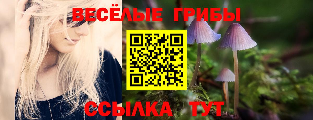 Советск  наркота  Вход с VPN  Галлюциногенные грибы мицелий 